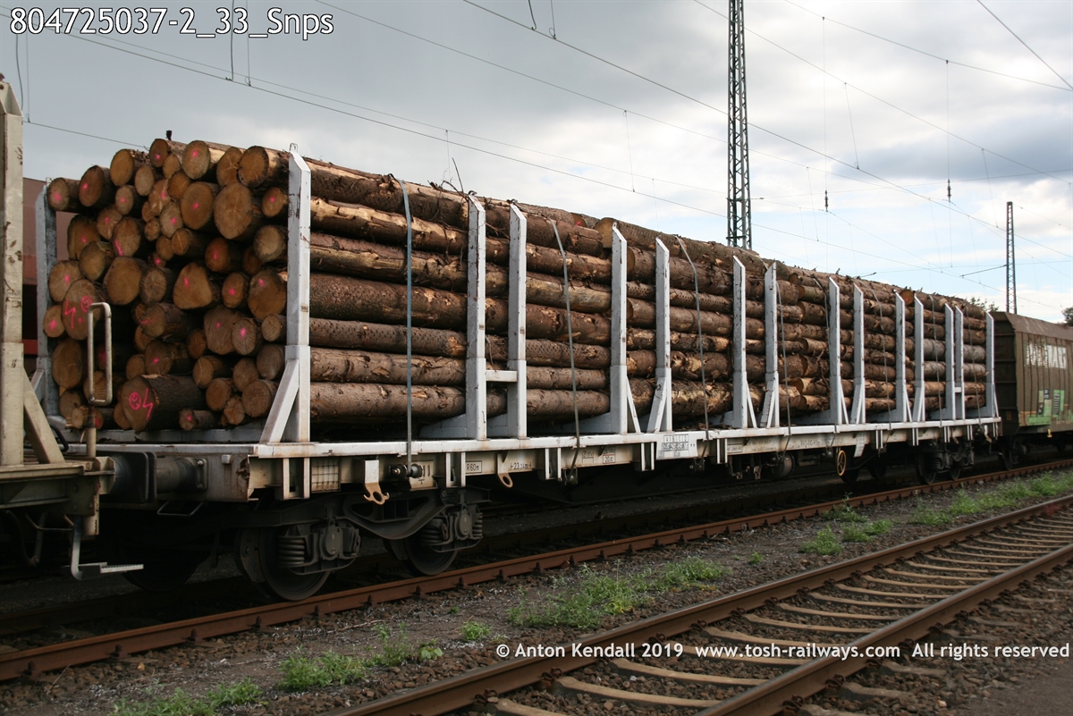 804725037-2_33_Snps.jpg